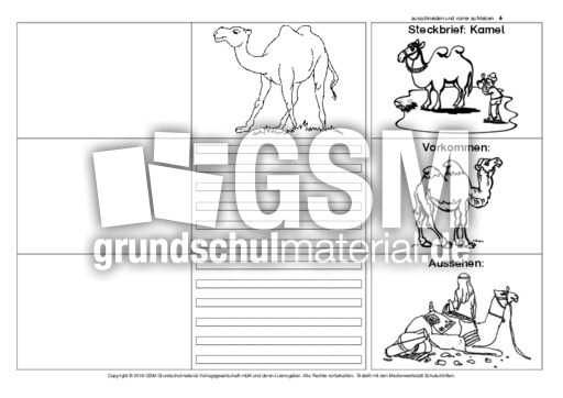 Flip-Flap-Kamel-1.pdf